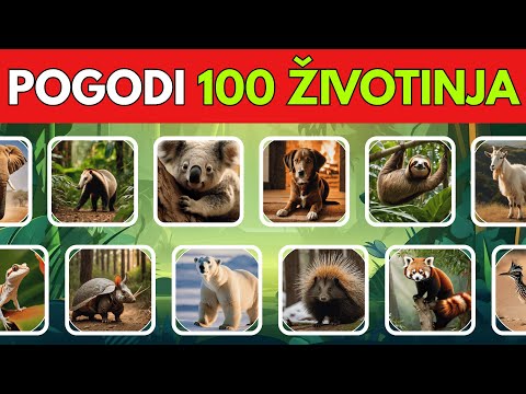 🐾 Pogađanje 100 Životinja! 🦁🐬