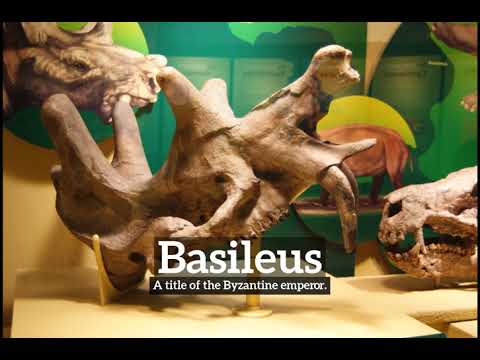 What is Basileus? | How to Say Basileus in English? | How Does Basileus Look?