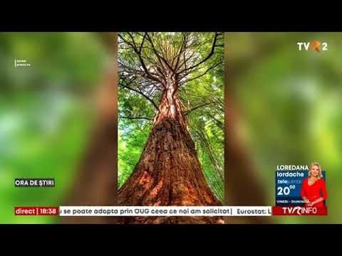 Ziua Parcului Național Semenic-Cheile Carașului