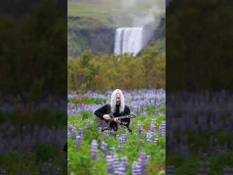 Gauze - Social Repose