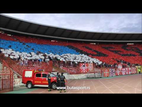 „Delije” imale poruku za UEFA (19.07.2016)