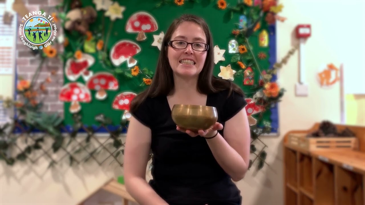 Aireachas le Katie McGreal 2