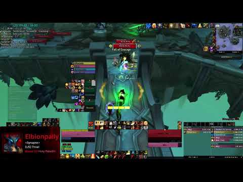 Necrotic Wake +20 - Tyrannical - Holy Paladin POV