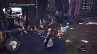 歴戦激昂ラージャン