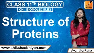 Structure of Protein | Biomolecules | CBSE Class 11 Biology