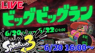 【LIVE】乗るしかねえ！このビッグビッグランに！【スプラ3】