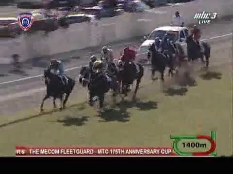 2015.10.10 The Mecom Fleetguard – MTC 175th Anniversary Cup -  Vettel