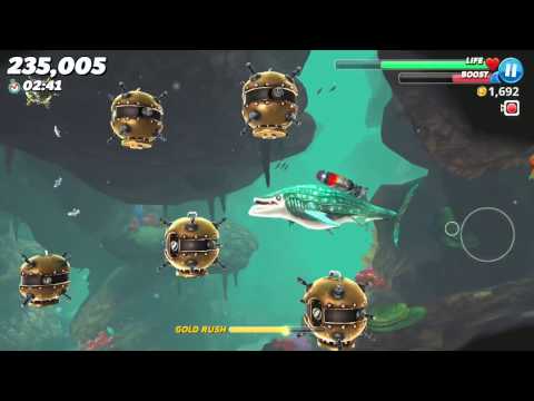 Whale Shark in Arabian Sea ! - Hungry Shark World