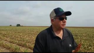 preview picture of video 'Agricultura Reynosa SanFernando #EnriqueGarzaflores'