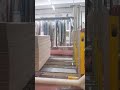 Riproduci video
