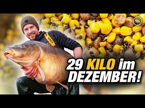 Karpfenangeln im Winter 🌽 auf Monsterfische mit Dosenmais
