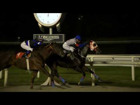 220603 c03 VICE VERSO