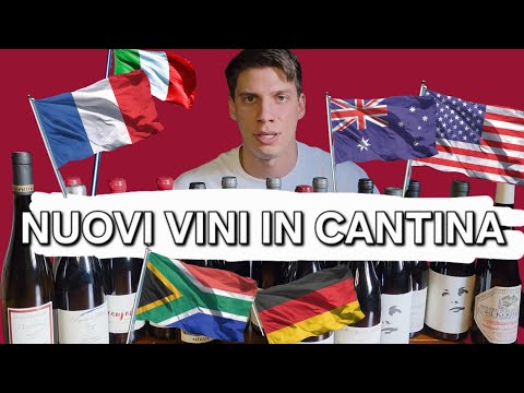 NUOVI VINI NUOVE SCOPERTE 🍷😍