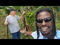 VACATION For MR LUIS IN AFRICA Is ENDING SOON