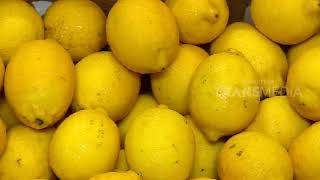 Download lagu LAPTOP SI UNYIL | PENAWAR PUSING (21/08/18) 1-3 mp3