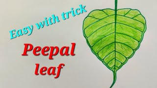 How to draw peepal leaf with trick, draw bodhi leaf,easy for kids , For EVS science# पीपल की पत्ती