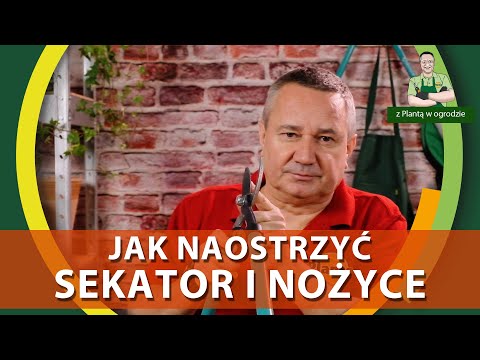 Jak naostrzyć sekator i nożyce - Z PLANTĄ W OGRODZIE