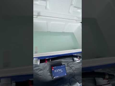 DIY Portable Aerator Livewell Cooler inspection check