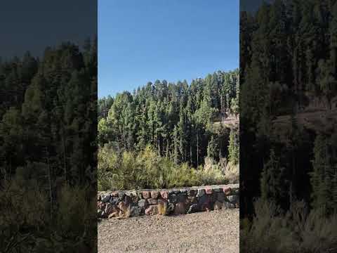 Paseo en City Bus . Camino al Cerro la Gloria .  Parte 21.