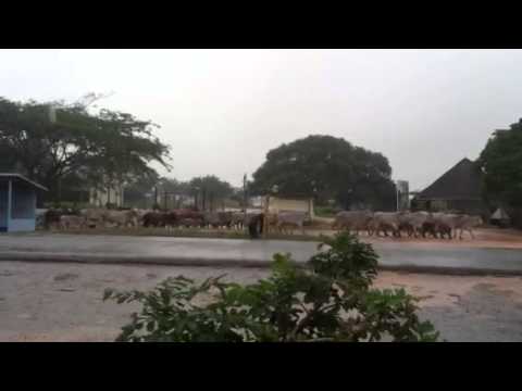 Mi llano en entradas de agua