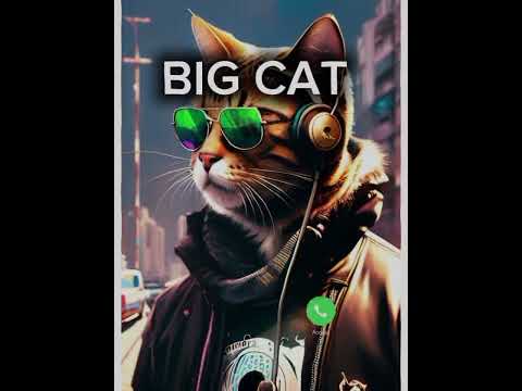 cats and ringtone 💫 cat calling at 3 am 🤣 phone ringing 💫