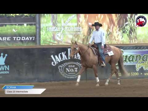 Southern Cross Reining Horse Live Stream - Intermediate Open & Non Pro