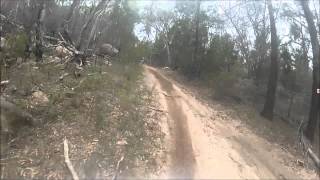 greenlands trailride 2014