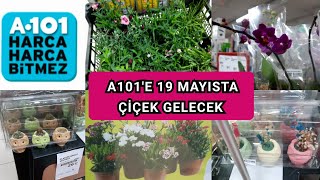 A101'E 19 MAYISTA ÇİÇEK GELECEK.