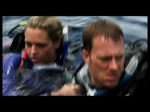 Open Water (Film) Trailer - Deutsch