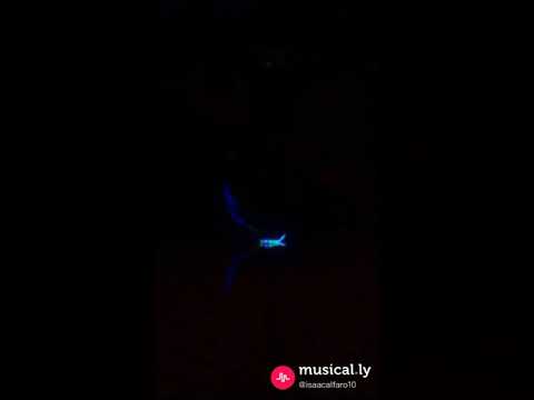 Shuffle dance/ cutting shapes( isaac shuffle)