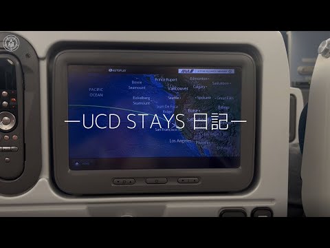 児童教育学科 2024-25 STAYS 動画レポート（カリフォルニア①）