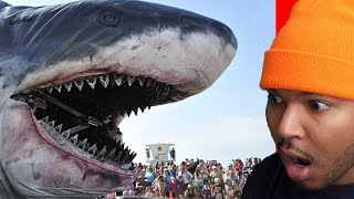 TOP 10 BIGGEST ANIMALS IN THE WORLD