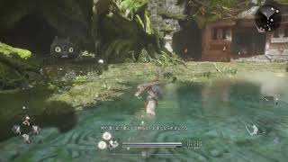 [仁王3]落命王本名ゆうたの仁王3 ネタバレあり#34
