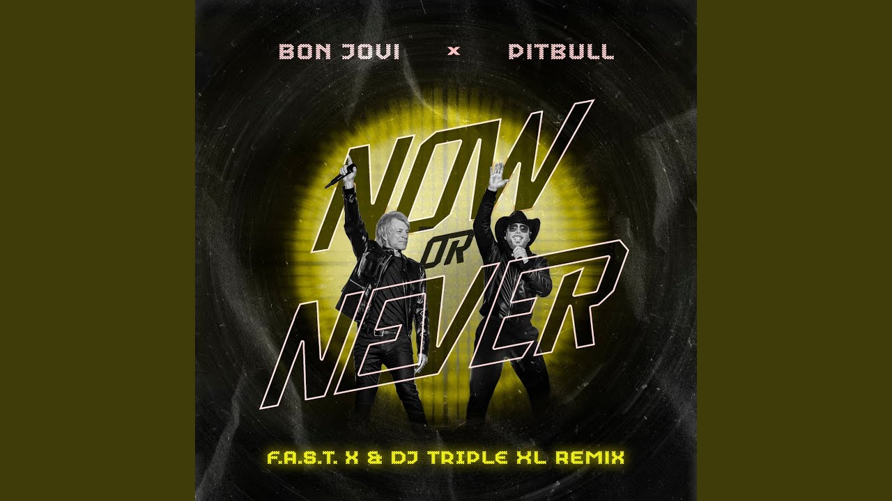 Now Or Never (F.A.S.T. x & DJ Triple XL Remix)
