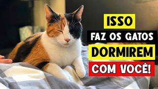 Os VERDADEIROS motivos do seu gato dormir com você ❗ 🐈