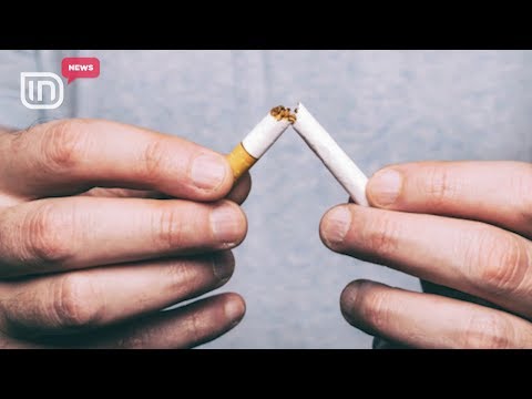 Ushtrime, jo cigare. Hormoni që prodhon aktiviteti fizik, ndal dëshirën për duhan | IN TV Albania