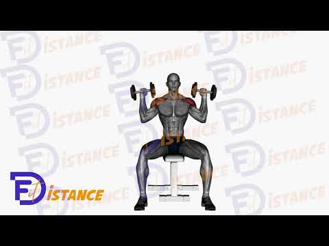 Exercice Développé assis avec haltères