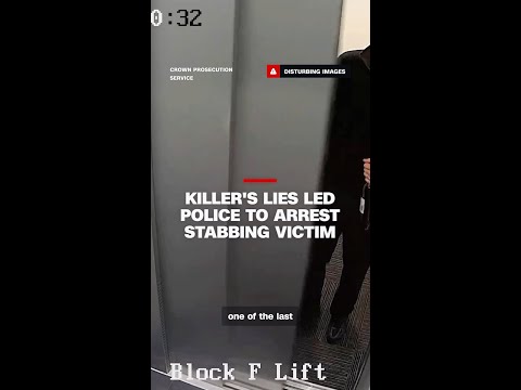 Killer's lies led police to arrest stabbing victim
