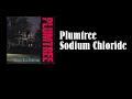 Plumtree - Sodium Chloride [자막]