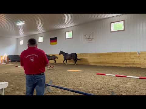 Vuitton PSF - Vilancio x Florencio x Gribaldi