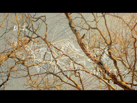 Μισαγαπιστές - Lovehaters (Μικρό Τρέιλερ - ΕΛ)