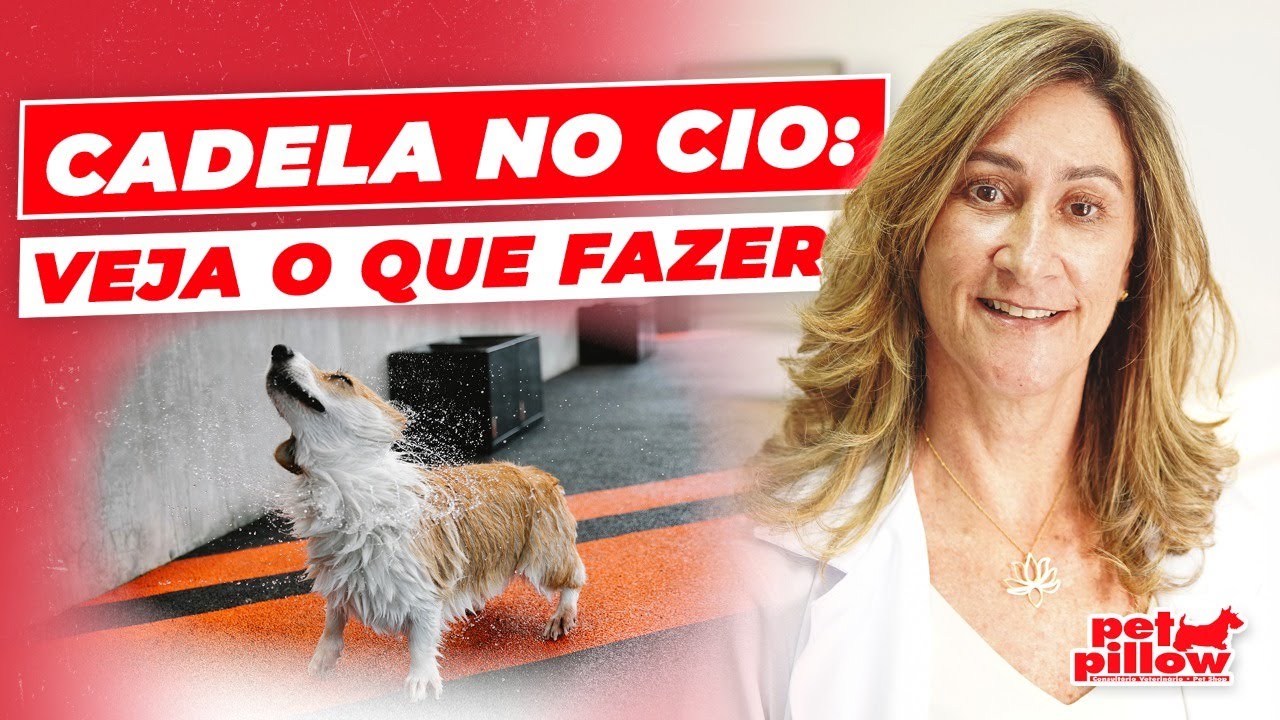 Cadela no cio: veja os sintomas e saiba o que fazer | Dra. Michele Sandrault