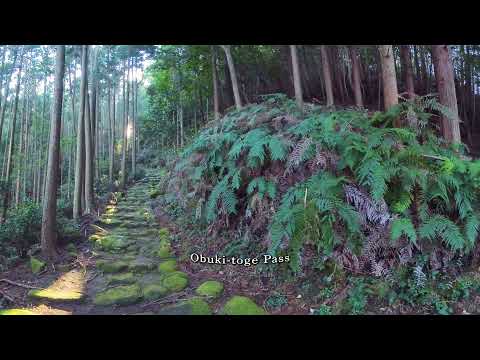 UNESCO World Heritage Kumano Kodo Iseji Route【8K/Angle 360】
