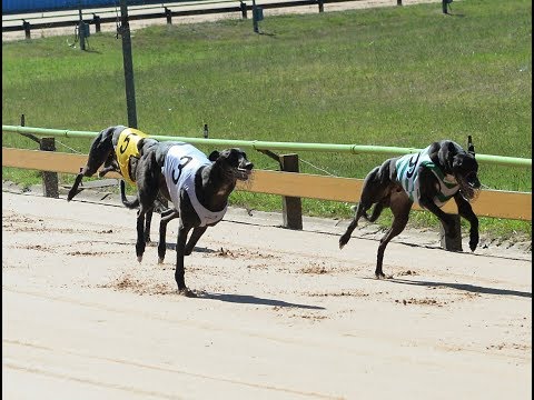 2018 Shootout | Aston Dee Bee