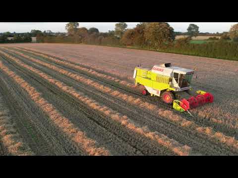 Claas Dominator 78s - Barley harvest in Denmark