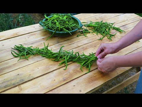 when sun is shining you should make sun dried peppers & Jalapeños cook frumenty & dry aubergines