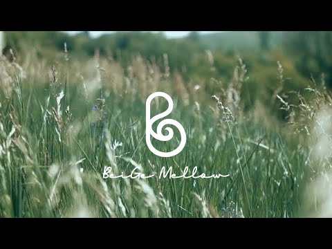 느긋한 주말, 쉼표의 위안을 더해줄 피아노 연주곡