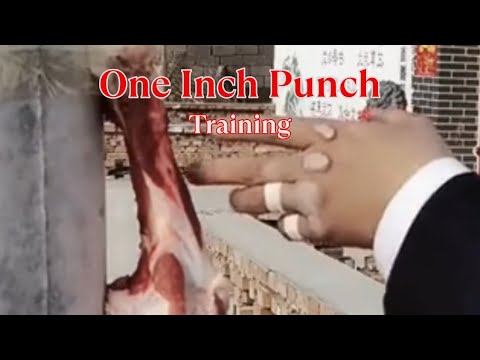 ONE INCH PUNCH TRAINING | KUNG FU POWER AND PRECISION