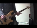 ViViD Across the Border BASS COVER 