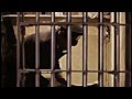 Mystery Of The Alcatraz 1962 Escape Documentary ...